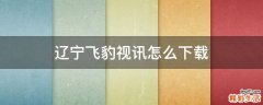 辽宁飞豹视讯怎么下载