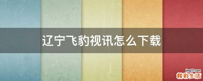 辽宁飞豹视讯怎么下载