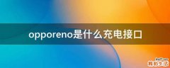 opporeno是什么充电接口