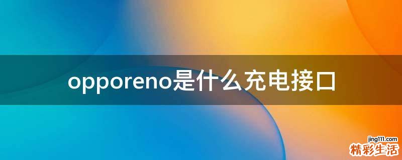 opporeno是什么充电接口