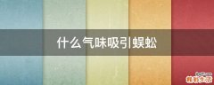 什么气味吸引蜈蚣