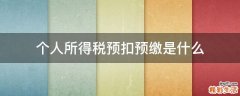 个人所得税预扣预缴是什么