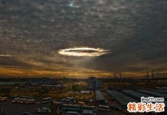 梯状膜