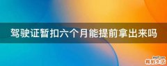 驾驶证暂扣六个月能提前拿出来吗