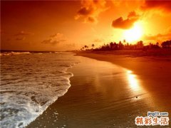 秋季吃什么排毒又减肥