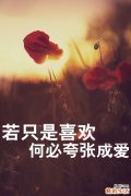长期服避孕药也可能使阴道变干涩