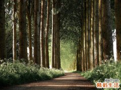 牙周病，该防什么