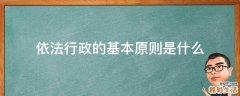 依法行政的基本原则是什么
