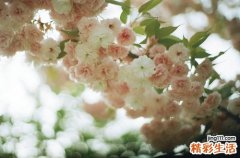 3 14种妇科病更适合看中医