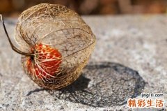 冬季中老年人怎样养生