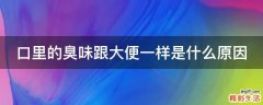 口里的臭味跟大便一样是什么原因