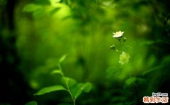 妈妈们警惕儿童自闭症的11个征兆