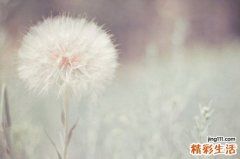 14种妇科病更适合看中医