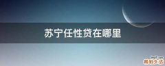 苏宁任性贷在哪里