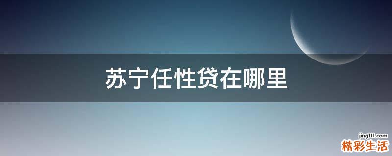 苏宁任性贷在哪里
