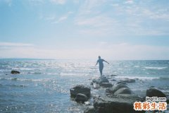 4 粗毛鳞盖蕨