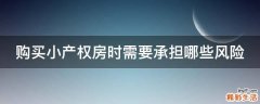 购买小产权房时需要承担哪些风险