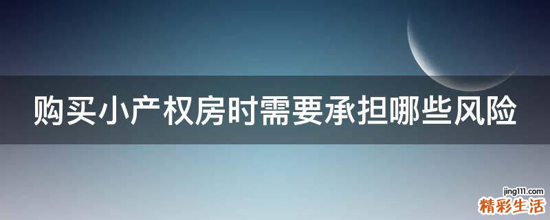 购买小产权房时需要承担哪些风险