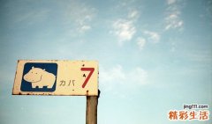 秋季怎样养生最科学