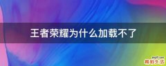 王者荣耀为什么加载不了