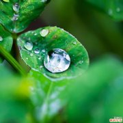 治疗鼻涕倒流的中药方剂