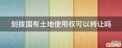 划拨国有土地使用权可以转让吗