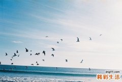 养睛明目的保健法