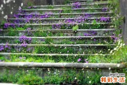 预防妊娠纹的方法