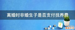 离婚时非婚生子是否支付抚养费