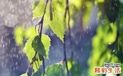 打破伤风过敏怎么办