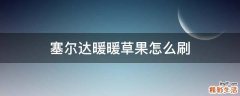 塞尔达暖暖草果怎么刷