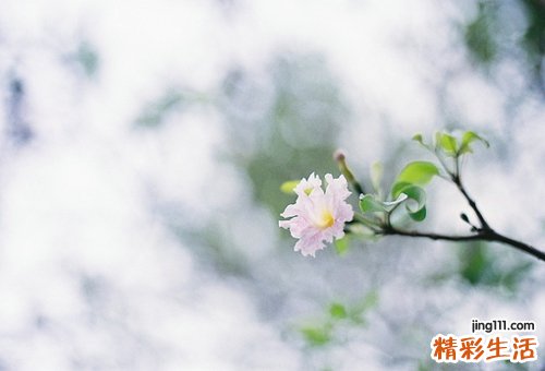 上班族健身一天吃几顿