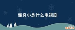 谢炎小念什么电视剧