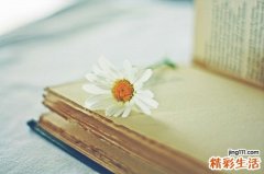 2 喝醉酒了怎么办