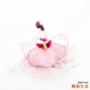 磨盘蹬