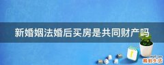 新婚姻法婚后买房是共同财产吗