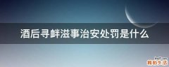 酒后寻衅滋事治安处罚是什么