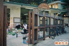 2 养生汤健康喝的五个饮食小常识