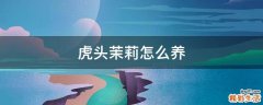 虎头茉莉怎么养
