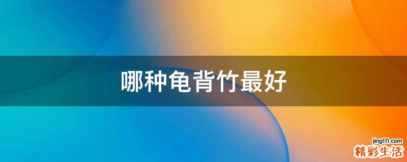 哪种龟背竹最好