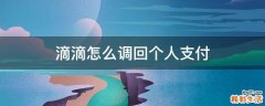 滴滴怎么调回个人支付