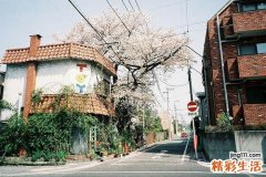 2 玉米搭配青豆 营养价值加倍