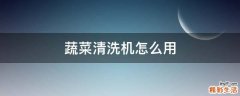 蔬菜清洗機怎么用