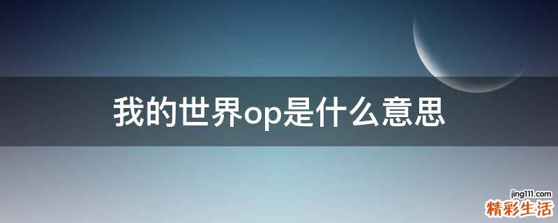 我的世界op是什么意思