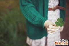 冬里麻