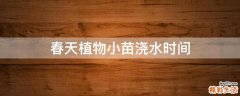 春天植物小苗浇水时间