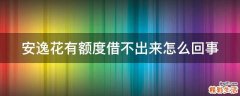 安逸花有额度借不出来怎么回事