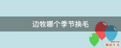 边牧哪个季节换毛