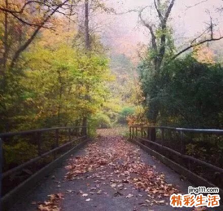初冬吃什么补气血