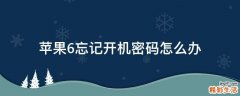 苹果6忘记开机密码怎么办